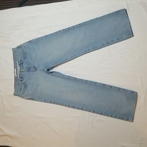 Tommy Hilfiger Blue Denim Jeans